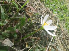 -白鹭湾湿地公园