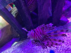 -沈阳海洋探索中心