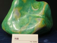 -国家自然博物馆