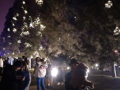 -大雁塔北广场音乐喷泉
