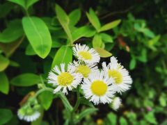 -白塘生态植物园