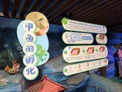 -酷嗒动物文化乐园(cutezoo西溪乐天城店)