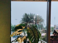 -椰小鸡·琼州糟粕醋·火锅(美兰缤纷城店)