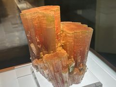 -安徽省地质博物馆