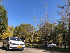 -胜华驾校·小猫学车(银都店)