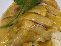 -巫记鸡饭店