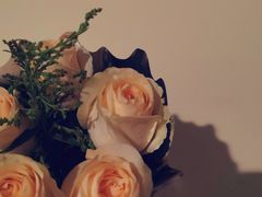 -三旗百汇商品城