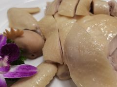-轩记海鲜餐厅·四十五年老字号·经典粤菜(西区彩虹店)