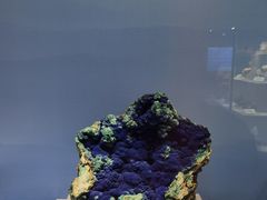 -贵州省地质博物馆
