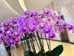 -麦当劳(世纪汇广场店)