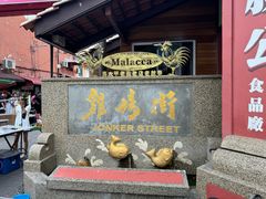 -马六甲鸡场街