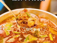 -进哥湖南津市牛肉粉店(下沙店)