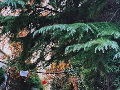 -济南轻骑摩托车有限公司(和平路)