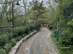 -雨花胜境