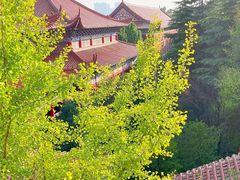 -开福禅寺