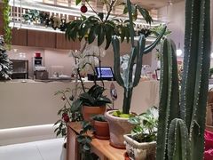 -避风塘·老港味餐厅(虹口龙之梦店)