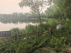 -燕郊植物园