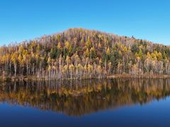 -五营红松林海景区