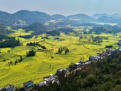 -牛街螺丝田