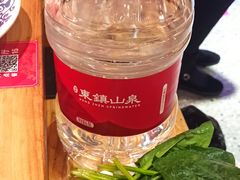 -东镇老火锅(长春路首店)