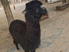 -北戴河集发农业梦想王国
