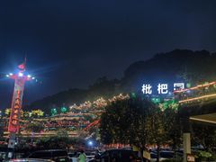 -枇杷园食为鲜火锅(南山店)