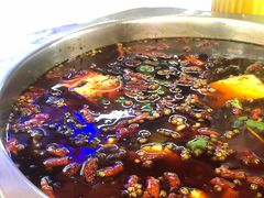 -重庆何乌鱼(南湖逸家店)