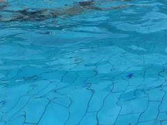 -重庆海昌加勒比海水世界