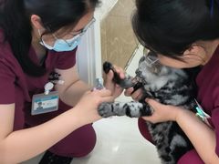 -美联众合动物医院·24h京西诊疗中心