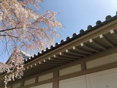-醍醐寺