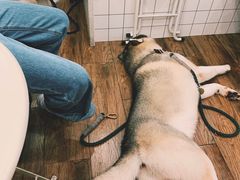 -倦勤咖啡(中山南路店)