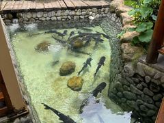 -耕渔小院·湖南鱼鲜(望城店)