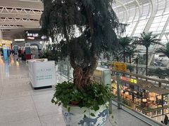 -合肥新桥国际机场-航站楼