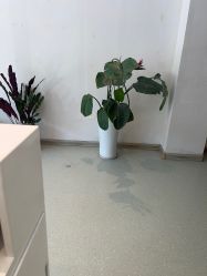 点击看大图 -Dr.林醫生产后修复·配方产康店(南京大厂店)