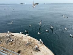 -大连海昌东方水城