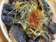 稀鳞硅鱼-煲来饱去冷水鱼