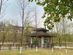 -沐仙湖湿地公园