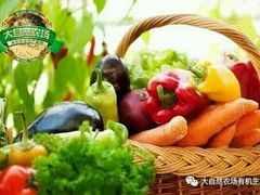 -大自然农场蔬菜草莓采摘园