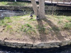-水磨沟公园