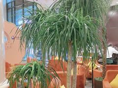 -逸派咖啡 EPARKCOFFEE(广安门店)