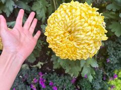 -汇龙潭