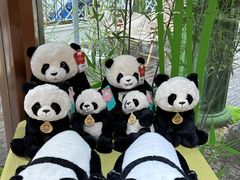 -轩客会(熊猫书店)
