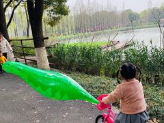 -圩墩遗址公园