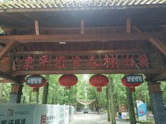 -东平国家森林公园