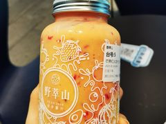 -野萃山·潮汕厚果汁(十亩地店)