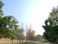 -白鹭湾湿地公园