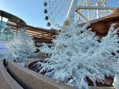 -HALO SOUL COFFEE·咖啡·甜品·简餐(嘉年华海信广场店)