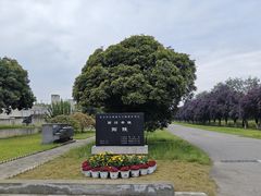 -汉景帝阳陵博物院