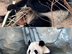 -泉州海丝野生动物世界