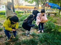 -硅谷蒙学幼儿园